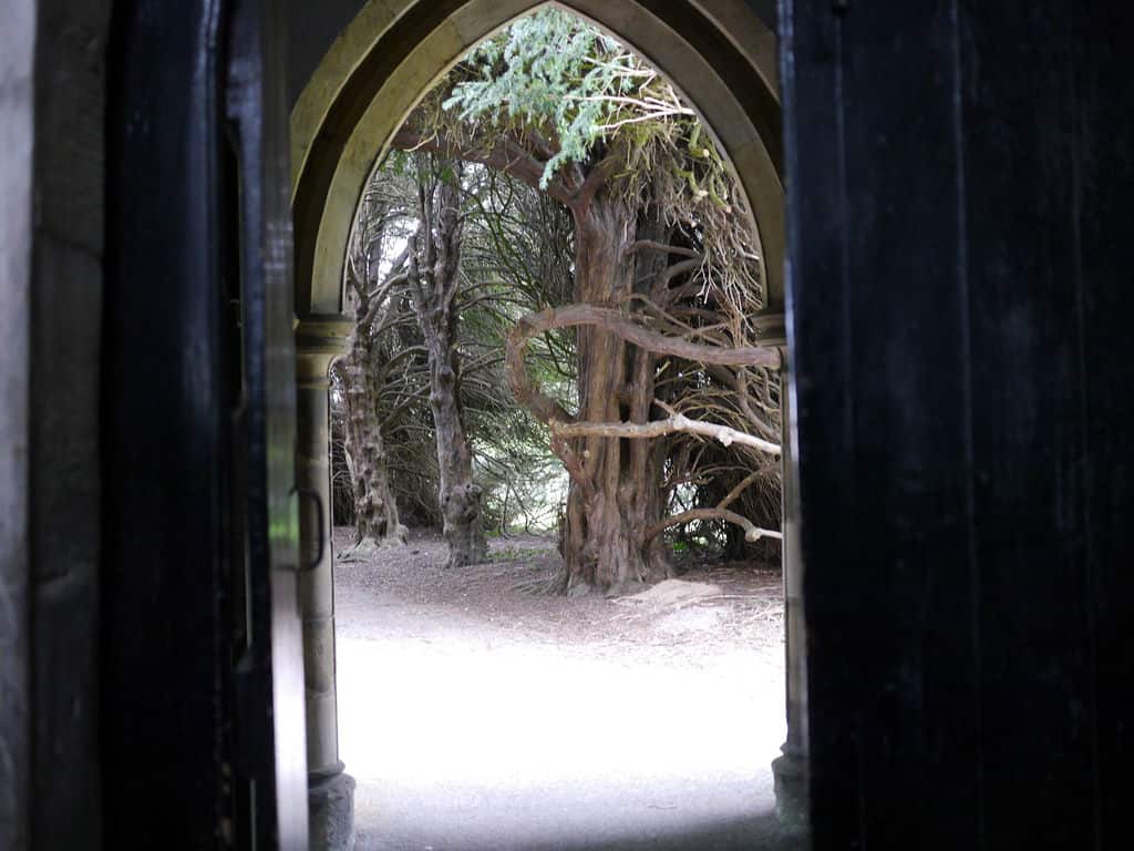 you can leave through the church door
