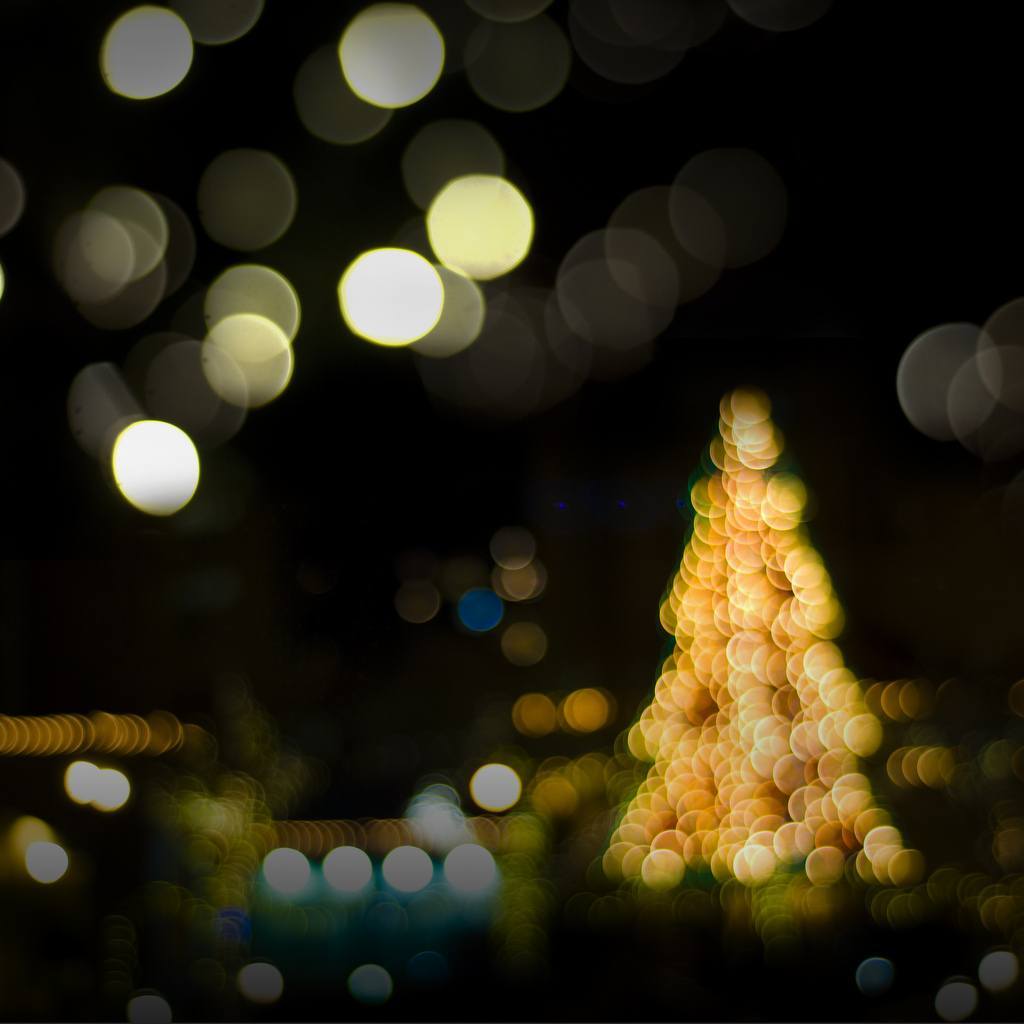 reflecting Advent lighted, blurry Christmas tree in the background