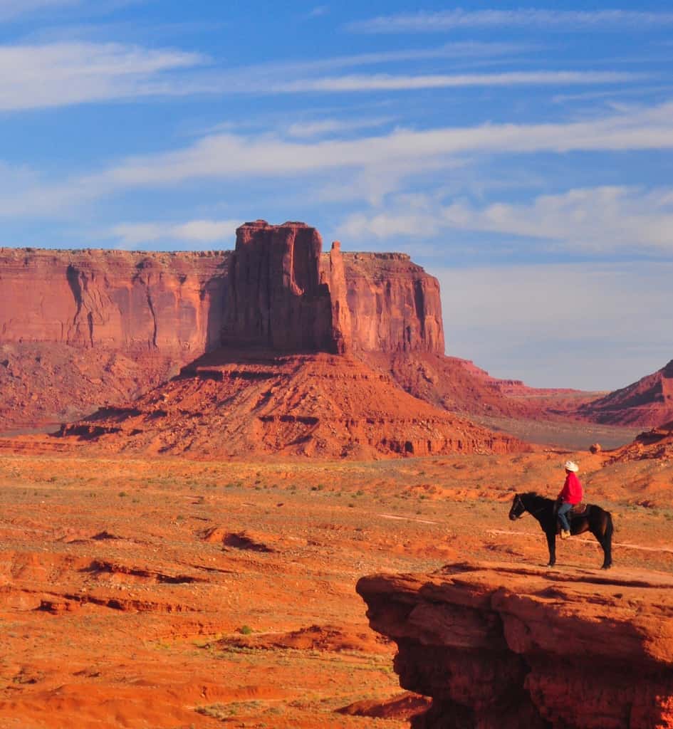 cowboy in desert landscape