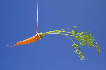 carrot on a string against a bright, blue sky